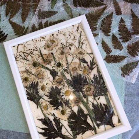 Nature Paper 的图像结果