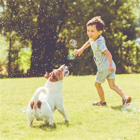 Spring/Summer Ad Campaign 的图像结果