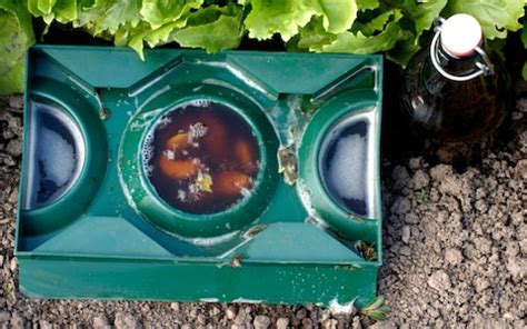 Image result for Homemade Slug Control