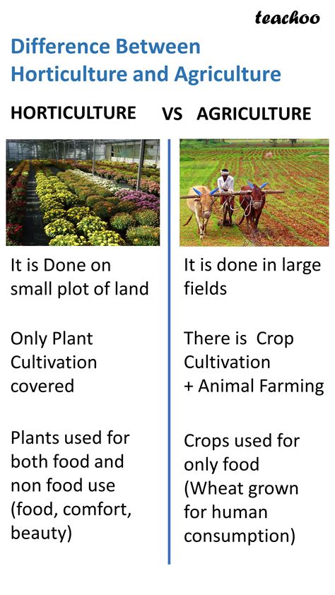 What Does Hort Mean at Ellen Franklin blog