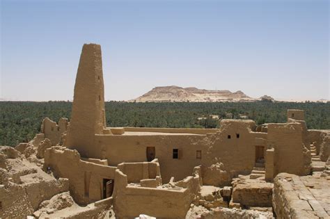 Siwa oasis