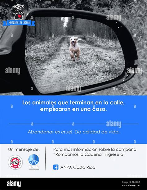 O estrategia hi-res stock photography and images - Alamy