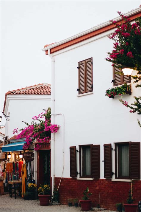 Window Shutter Design 的图像结果