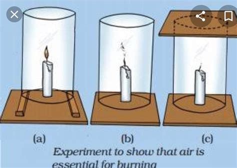 is stone pieces are COMBUSTIBLE - Brainly.in