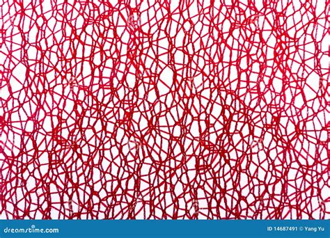 Image result for Red Netting