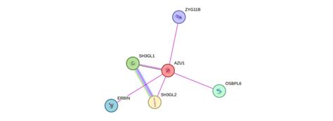 Image result for Azu Protein