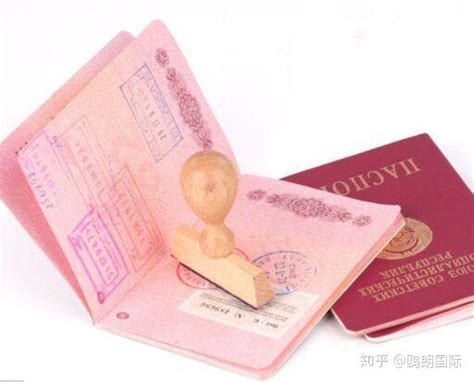国外护照申请中国签证攻略 - 知乎