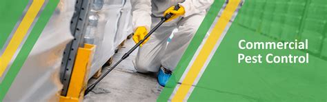 Hospital Pest Control: Safeguarding Patient Health & Hygiene