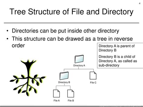 Image result for File Pathway