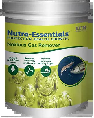 Home [www.ifbagro.in]