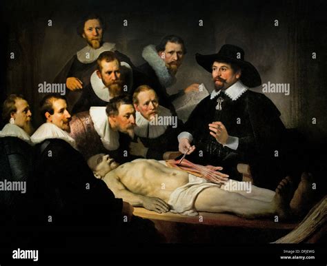 The Anatomy Lesson ( de anatomische les ) of Dr Nicolaes Tulp 1632 ...