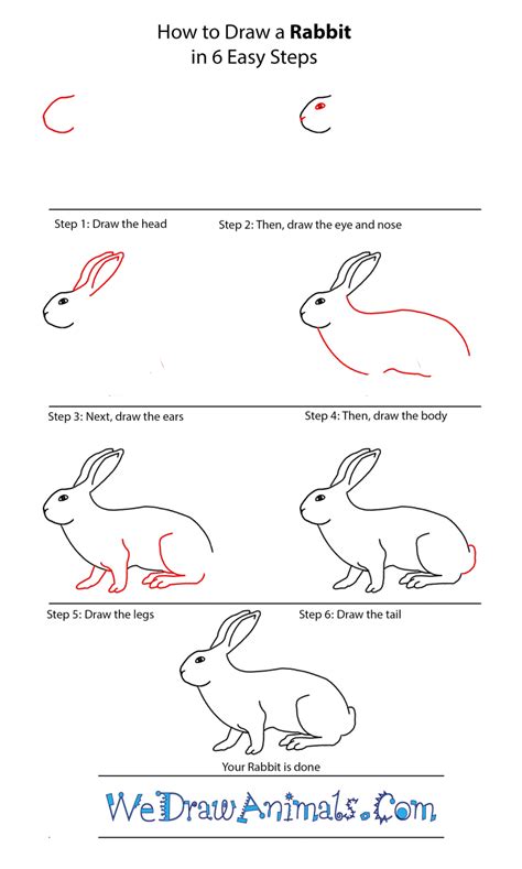 GrowinginPre-K and K: Drawing Animals