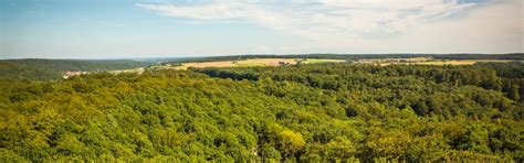 Our Projects - SoulForest :: Creating India First Co-Owned Forest