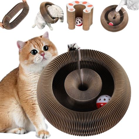 Amazon.com : Marlene Pets, Magic Organ Cat Scratching Board Kurlz Toy ...