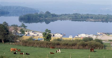 Vigilance urged as “highly invasive” mussel discovered for first time ...