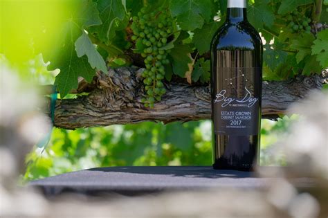 Big Dog Vineyards
