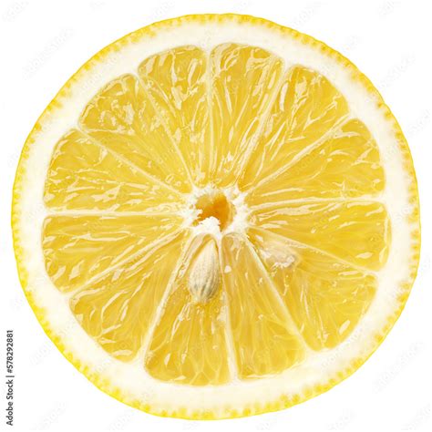 Image result for Lemon Slice Texture