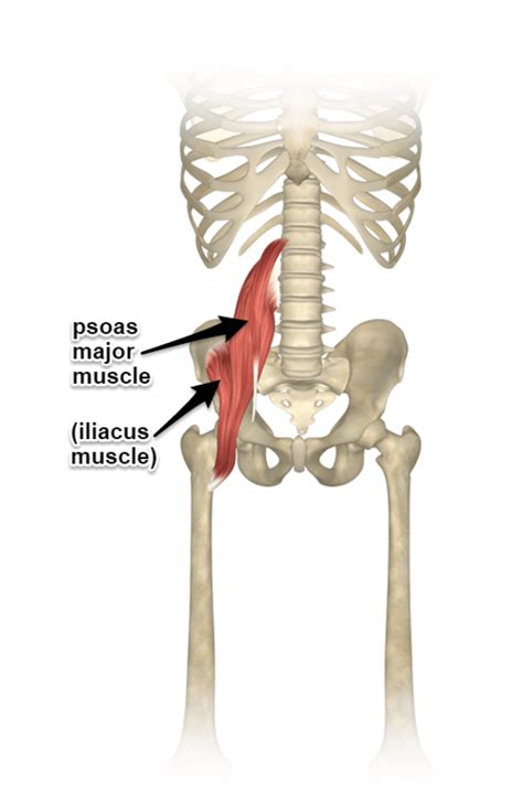 Iliopsoas Bursitis Stretches
