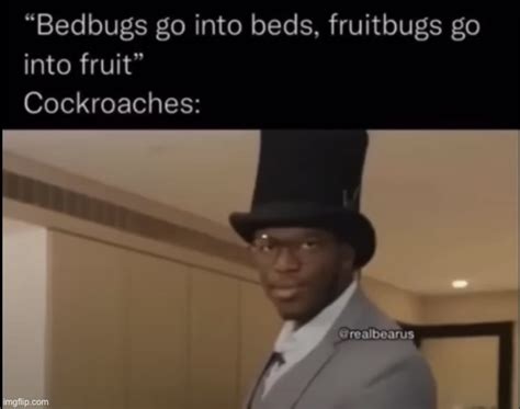 Cockroach at Dinner Table Meme 的图像结果