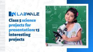 Image result for Science Project 10th Class