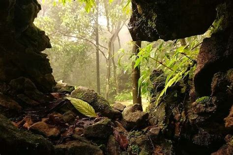 18 Places To Visit In Cherrapunji For Nature Lovers In 2026