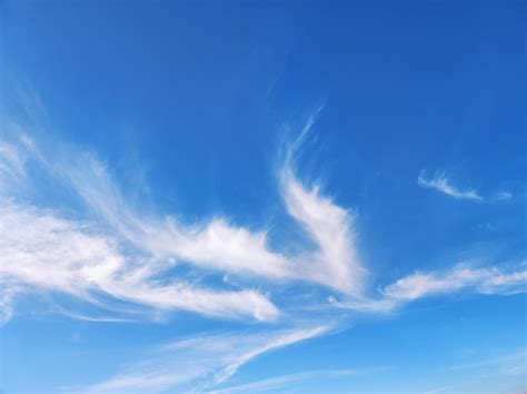 Ass+In+The+Air Photos, Download The BEST Free Ass+In+The+Air Stock ...