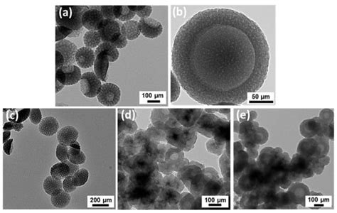 PRIMERS: Polydopamine Radioimmunotherapy with Image-Guided Monitoring ...