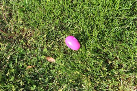 Upland Borough Easter Egg Hunt, Bristol Lord Field, Brookhaven, 19 ...
