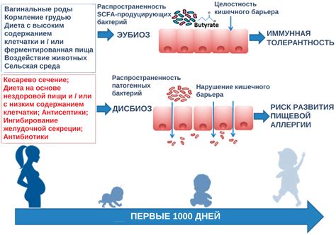 Модуляция микробиома кишечника для профилактики и лечения детской ...