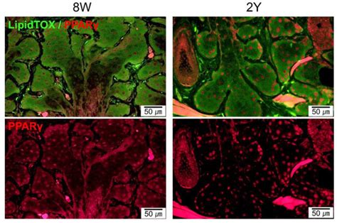 IJMS | June-1 2020 - Browse Articles