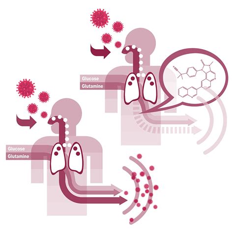 Image result for Cell Press Graphical Abstract