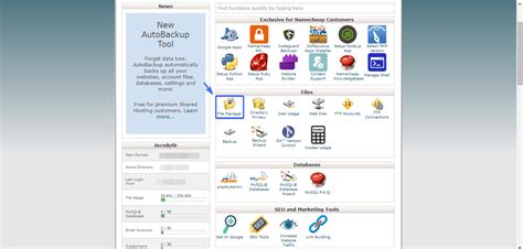 Image result for Domain cPanel