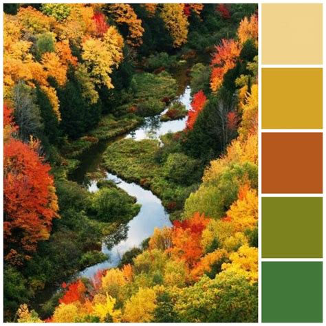 Fall style guide for your home | Fall color schemes, Fall color palette ...