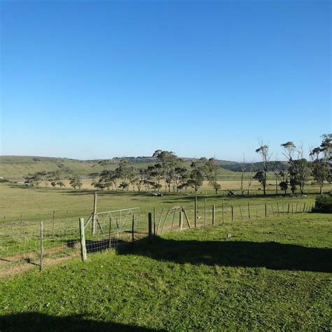 HOLMELEIGH FARMYARD (2025) All You Need to Know BEFORE You Go (with ...