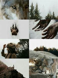 Aesthetic Wallpaper Wolf by Hey There Rustic Aesthetic In 2019 Aesthetic Wallpaper Wolf