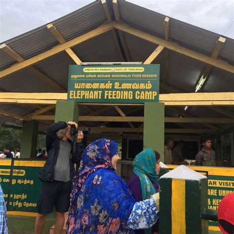 MUDUMALAI WILD INN STONE COTTAGE (Masinagudi, Tamil Nadu) - Guesthouse ...