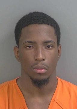 Collier County Arrests... - Collier County Arrests & Mugshots