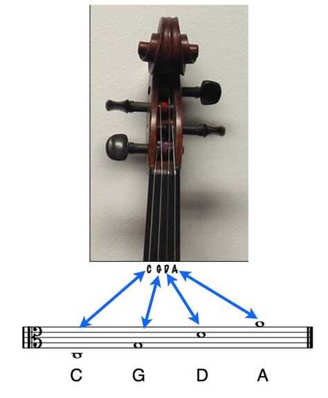 Image result for Basic Viola Lesson