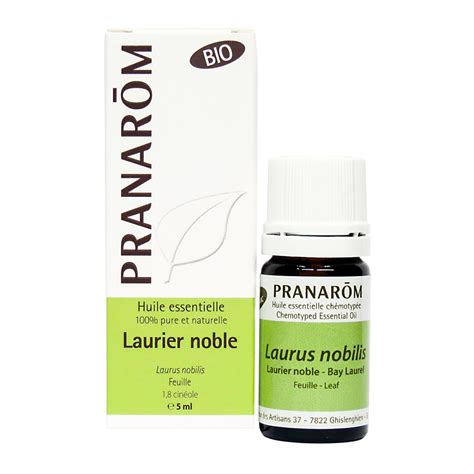 Laurier Noble Infusion - Le laurier noble : quels sont ses bienfaits ...