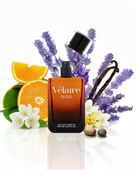 Buy Velaire Elixir Long Lasting Perfume for Men and Women | EDP Premium ...