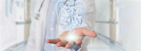 Best Gastroenterologists in Kelambakkam | Padur | Navalur | Siruseri ...