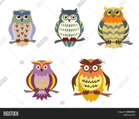 Vector y foto Buhos De Dibujos (prueba gratis) | Bigstock