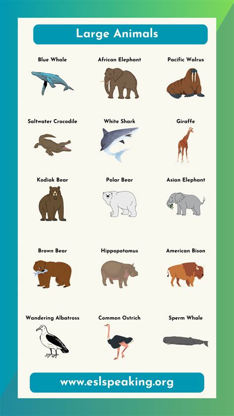 Largest Animals Chart