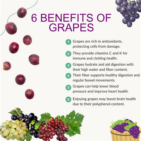 Power of Grapes: 6 Health Benefits You Need to Know | Grapes benefits, Grape health benefits ...