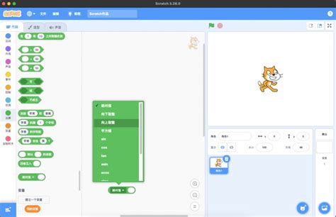 Python Scratch 的图像结果