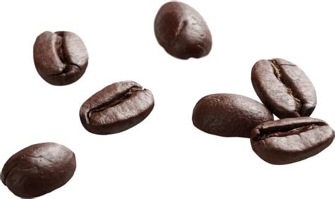 Image result for Java Coffee Beans