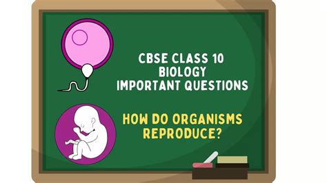 CBSE Class 10 Biology How Do Organisms Reproduce Important Questions ...