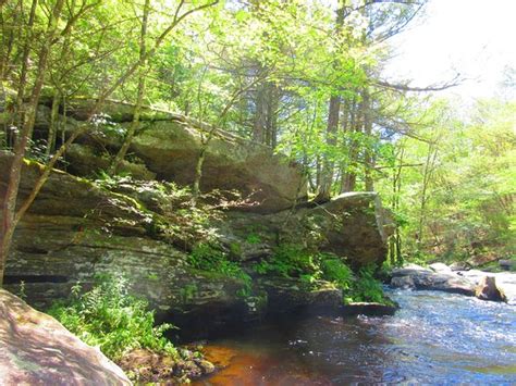 Chaplin Tourism (2024): All You Need to Know Before You Go