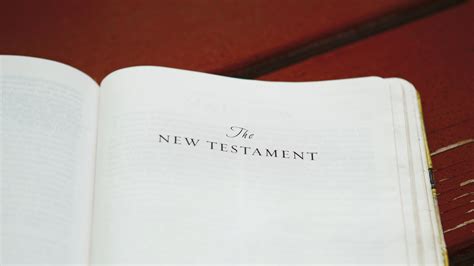 New Testament Bible study guide