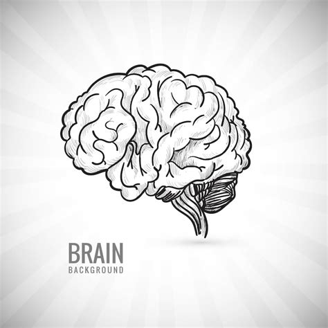 Brain silhouette Images - Free Download on Freepik